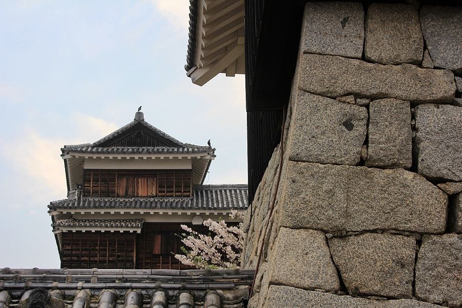 Matsuyama-Castle-walls-crows-3