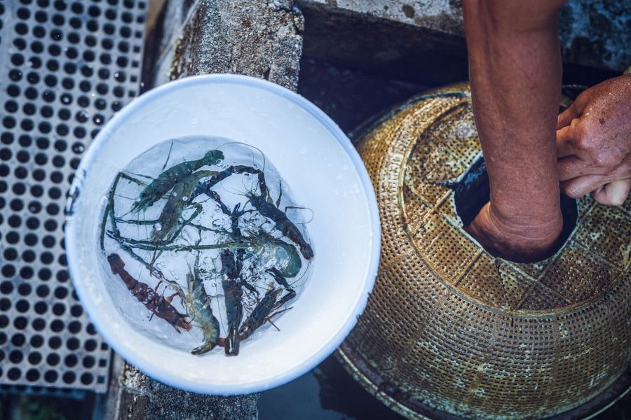 Doburoku Guesthouse Kurousagi shrimp pot