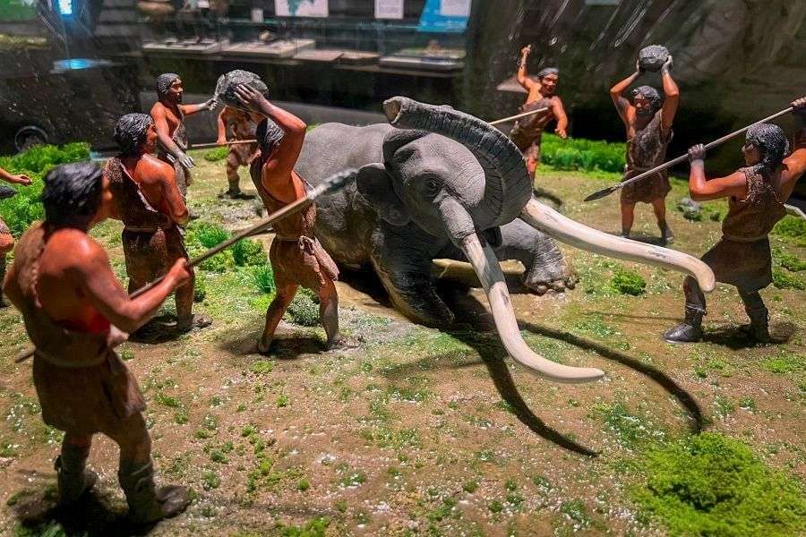 Ehime Museum of History and Culture mammoth hunt