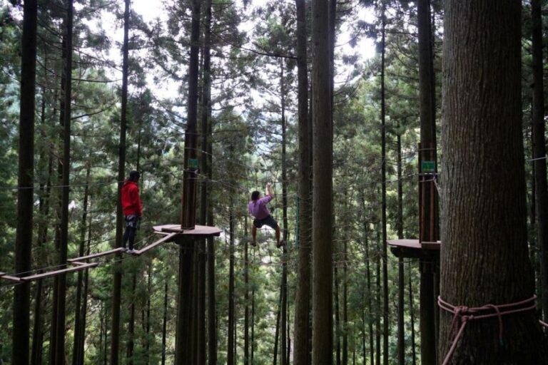 Forest Adventure Iya wire traverse