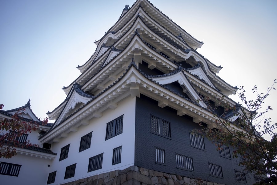 Fukuyama Castle keep two tone
