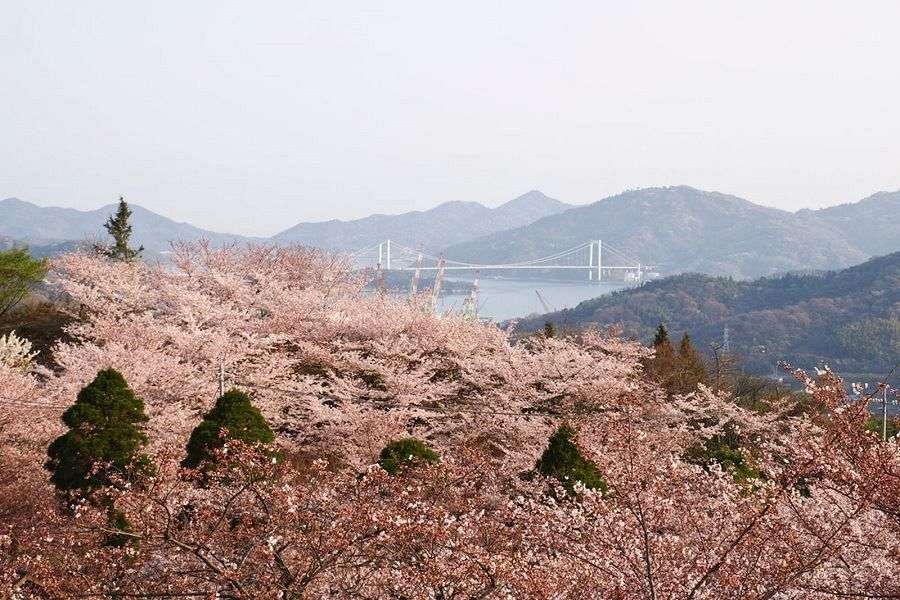 Hakatajima Island Hirakiyama Park