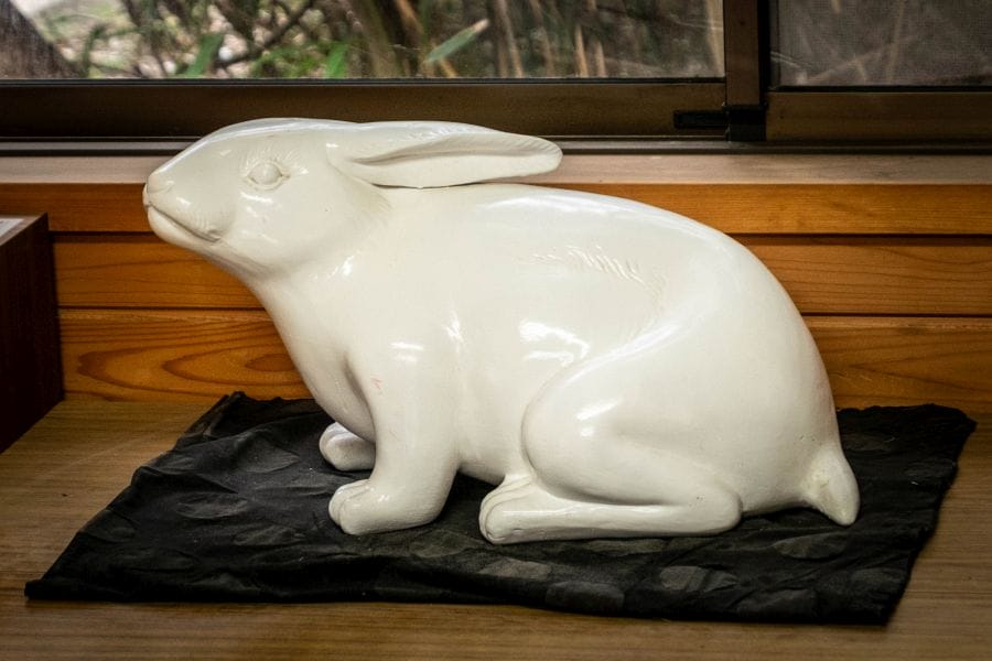 Hakuto Coast white rabbit