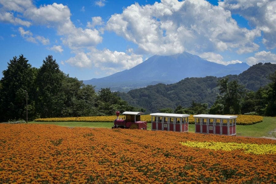 Hanakairo train summer and Mt. Daisen scaled