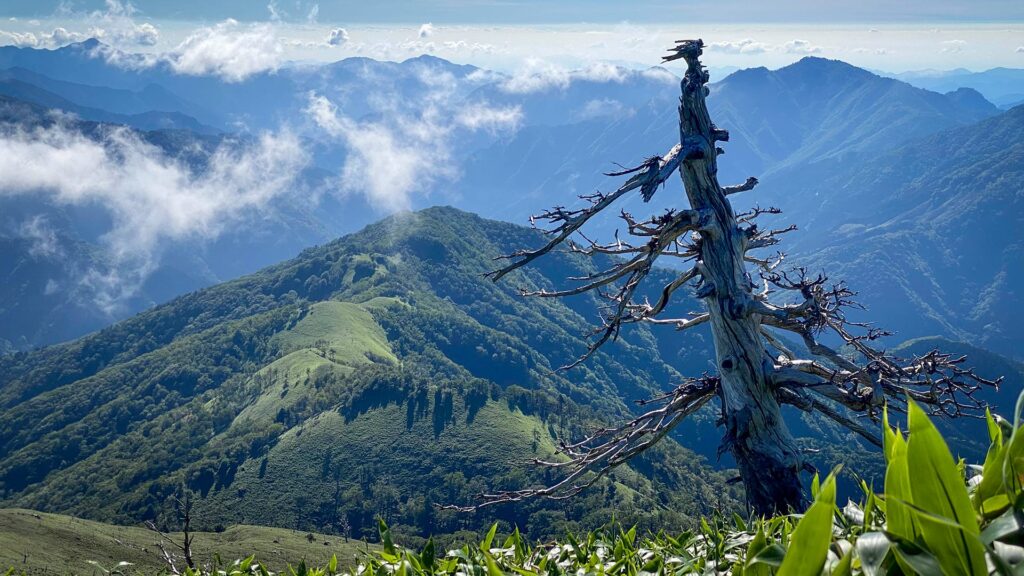 Hero Mt. Tsurugi wild scenery