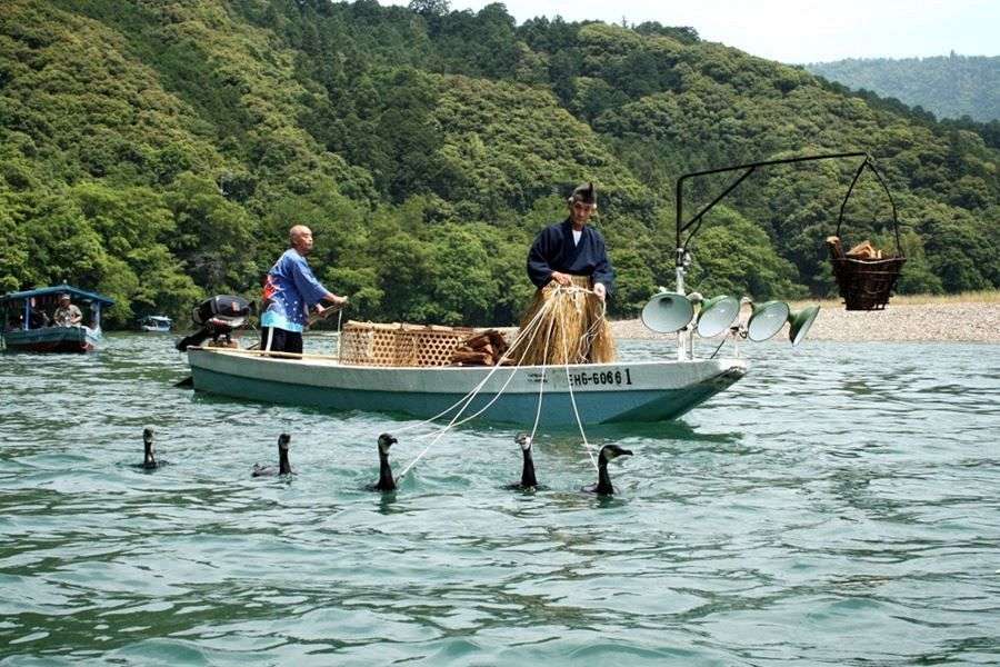 Hiji River cormorant fishing