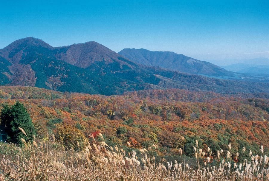 Hiruzen Highland mountains in autumn