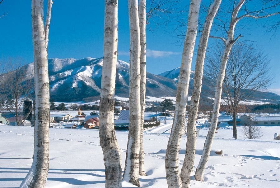 Hiruzen Highland mountains in winter