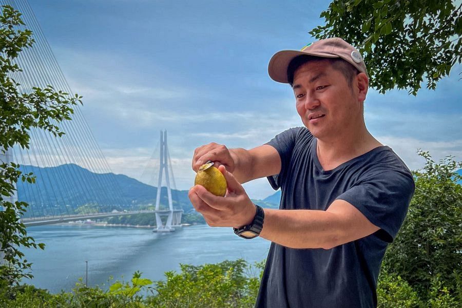 Ikuchijima organic lemon farm