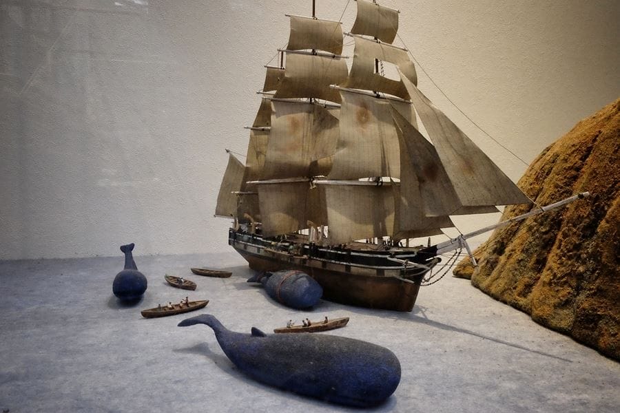 John Mung Museum whale diorama