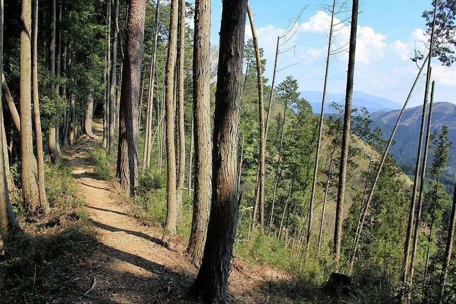 Kuma Kogen pilgrim path