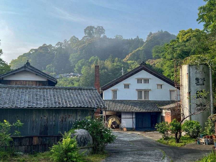Matsuno Nobushi morning mist yard
