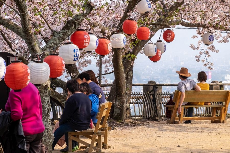 Matsuyama-Castle-sakura-visitors