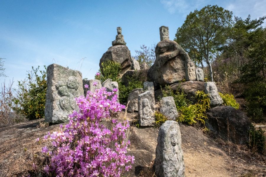 Mt. Shirataki mountainside arhats pink flowers