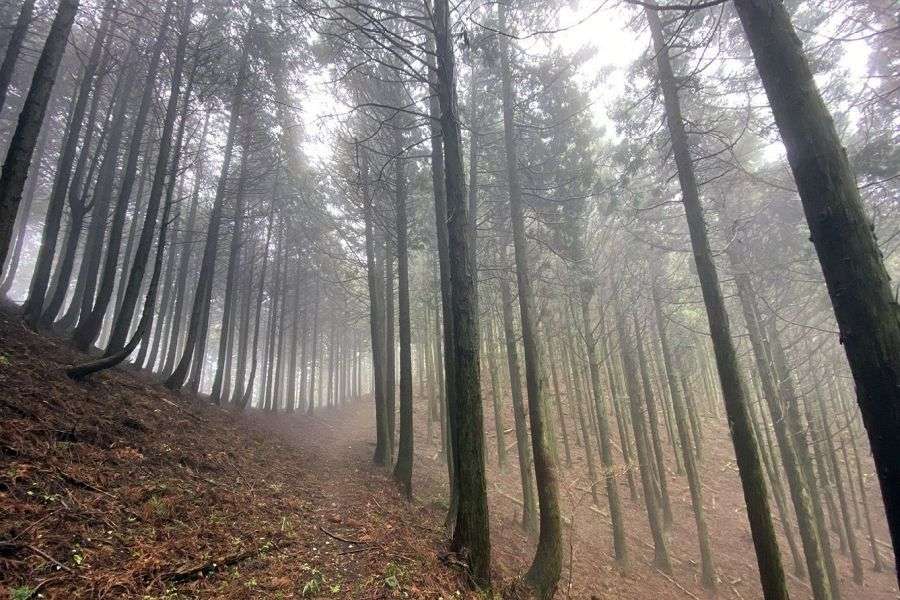 Mt. Takanawa mountain trail