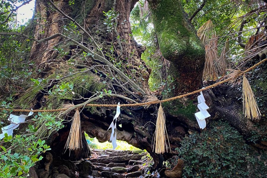 Mt. Washigato Ikiki no Gomon