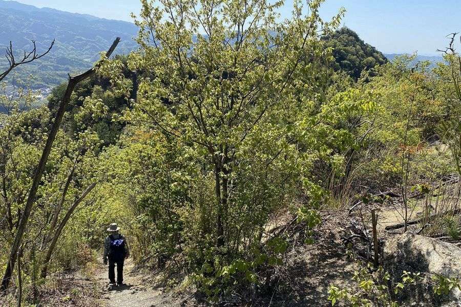Mt.Seta Mt.Kasamatsu hiker