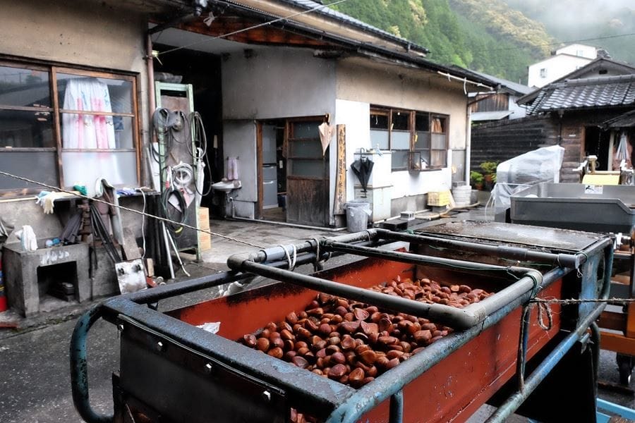 Mutemuka brewery chestnut processing