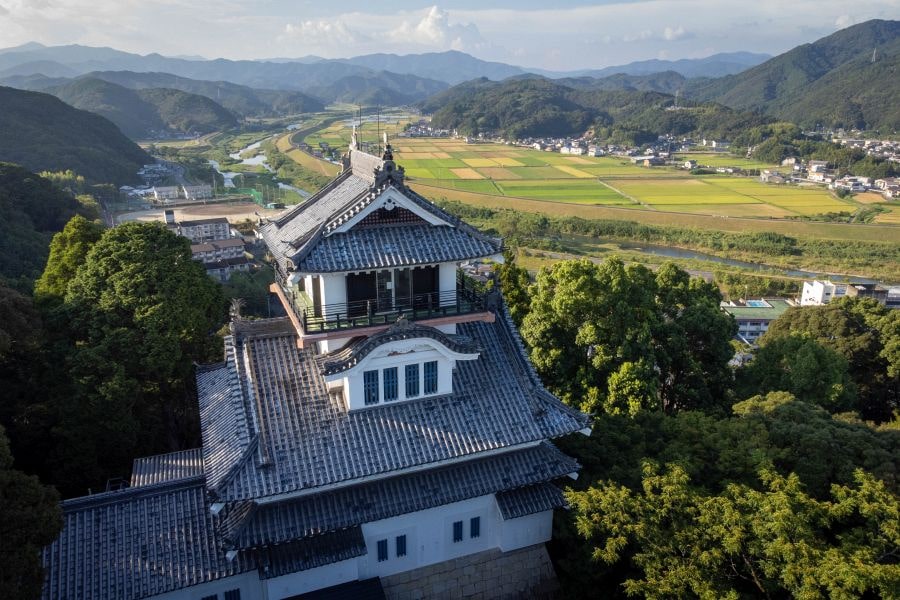 Nakamura castle and rice fields