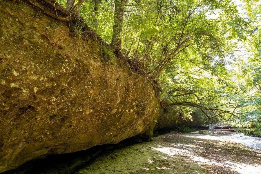 Namekawa Gorge mudstone
