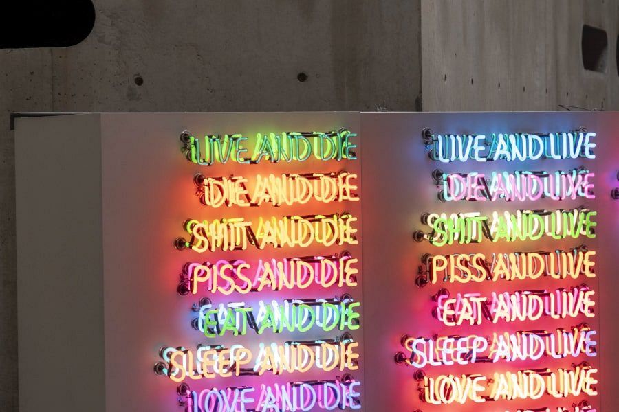 Naoshima Benesse House Museum vulgarities