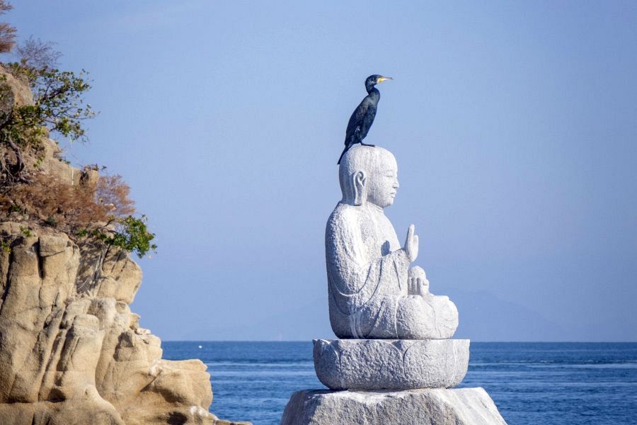 Noshima Buddha cormorant