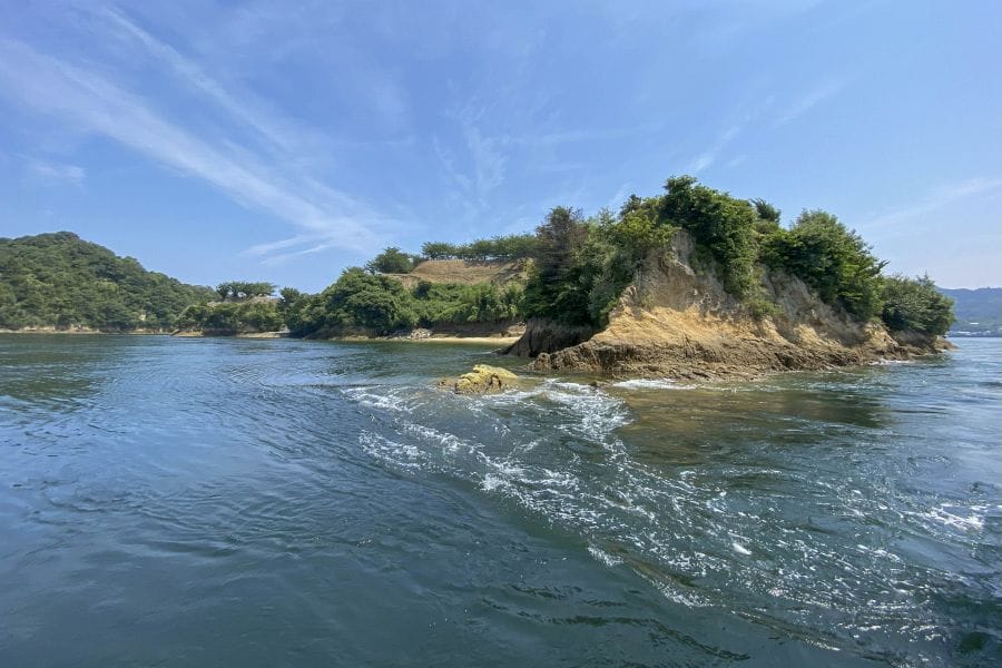 Noshima cruise summer current