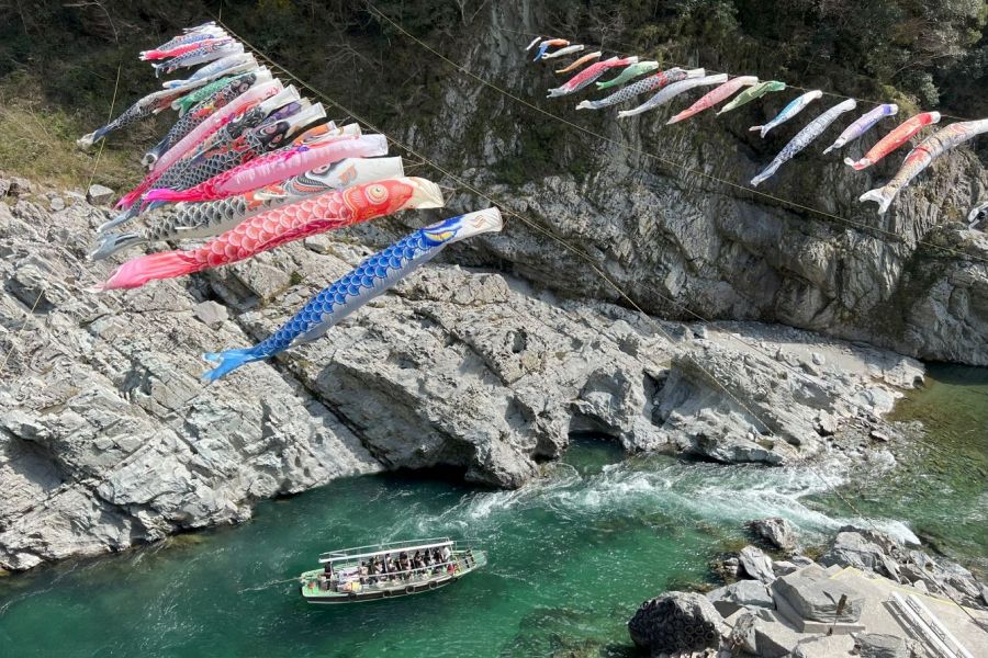 Oboke Gorge carp streamers