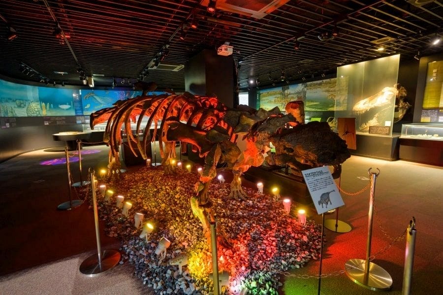 Okuizumo dinosar museum squatty