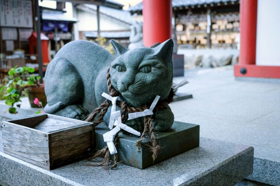 Omatsu Gaigongen Shrine large cat statue