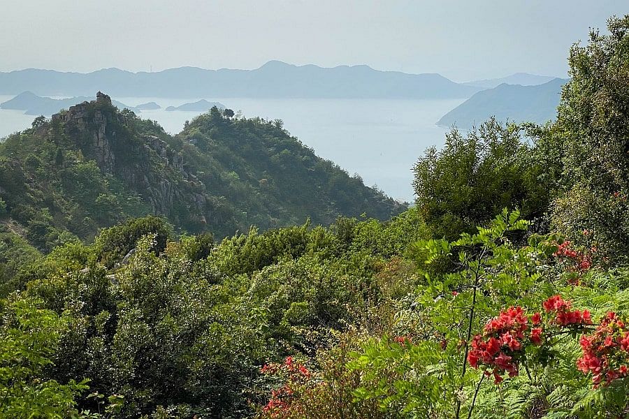 Omishima view from Mt. Washigato
