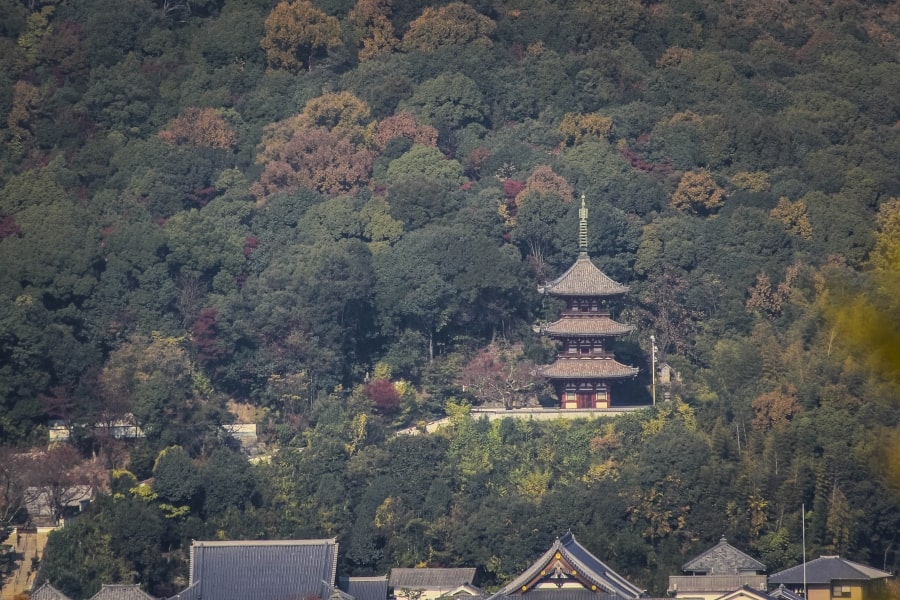 Onomichi Saikoku-ji Temple pagoda