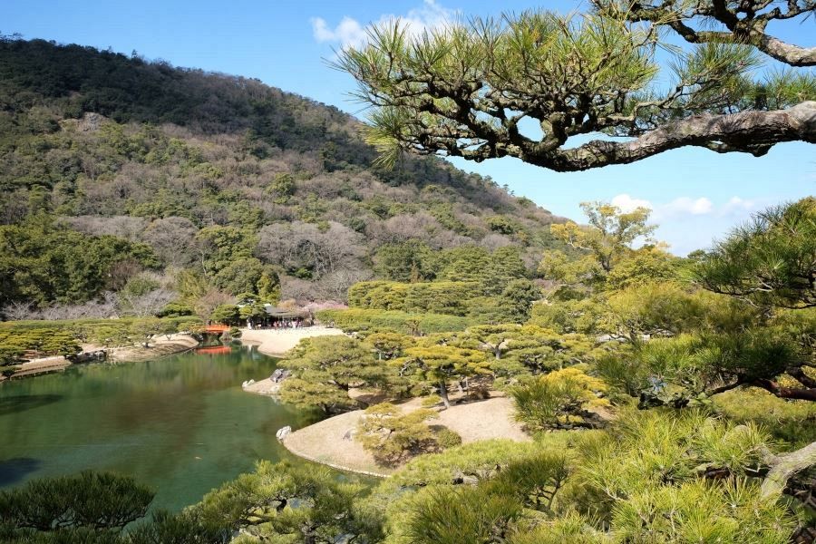 Ritsurin Garden pines and pond