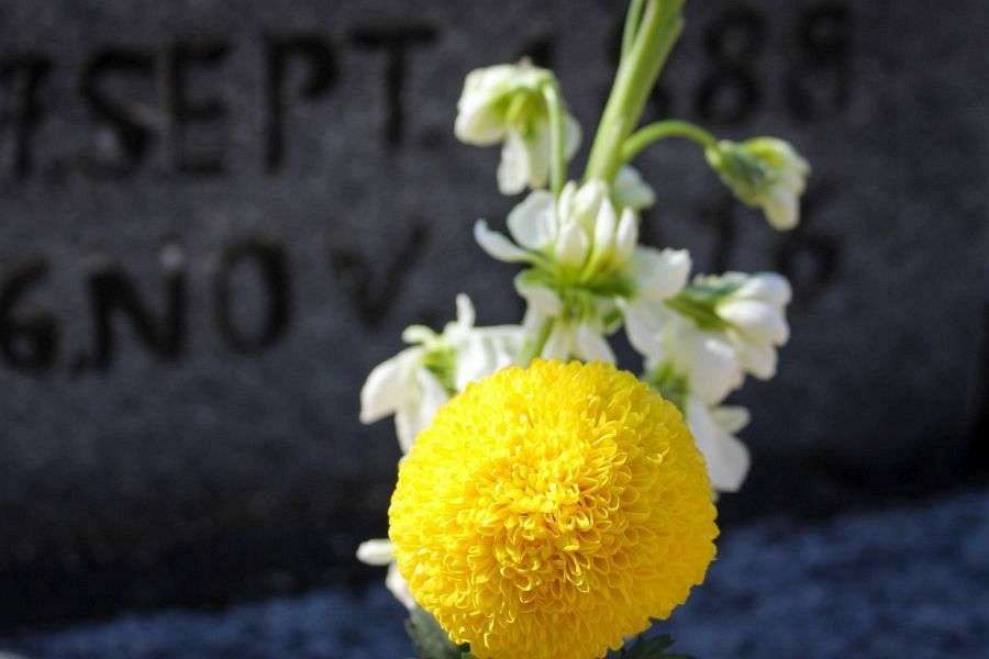 Russian soldiers cemetery yellow flower