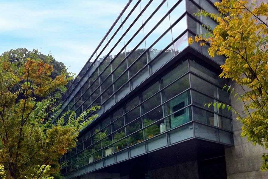 Saka no Ue no Kumo Museum