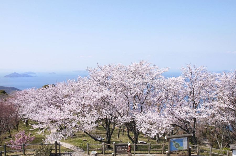 Shonai Peninsula Mitoyo
