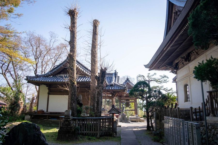 T10 Kirihata ji Temple main hall
