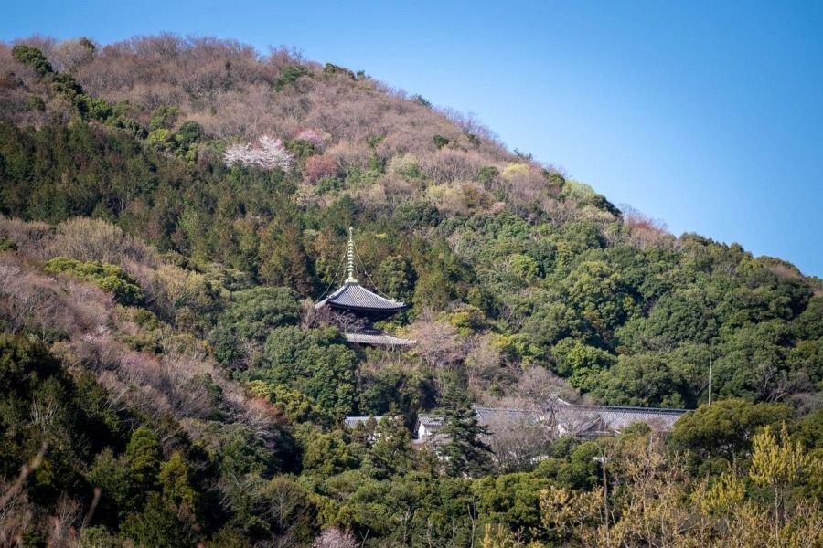 T10 Kirihata ji Temple mountain view