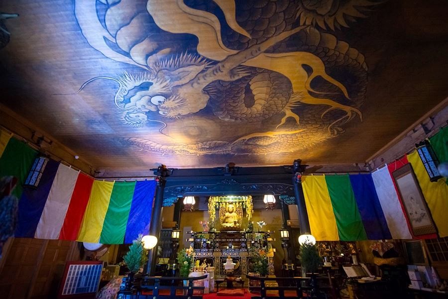 T11 Fujii dera Temple dragon ceiling