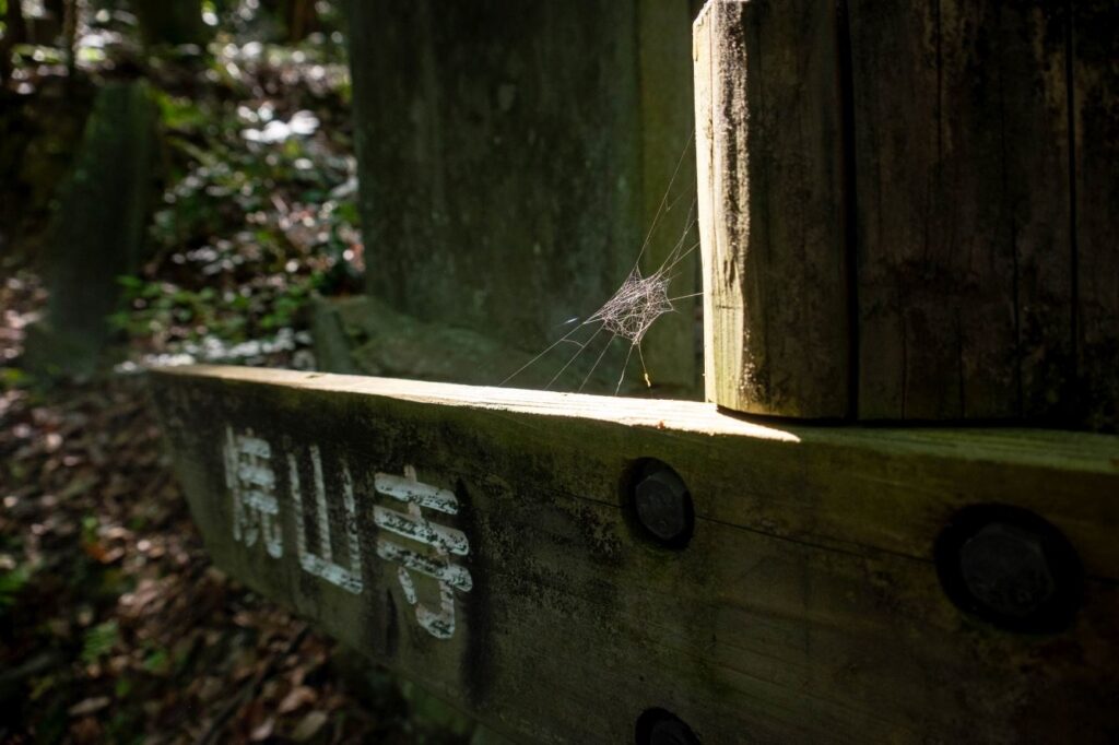 T11 Fujiidera Temple to Shosan ji