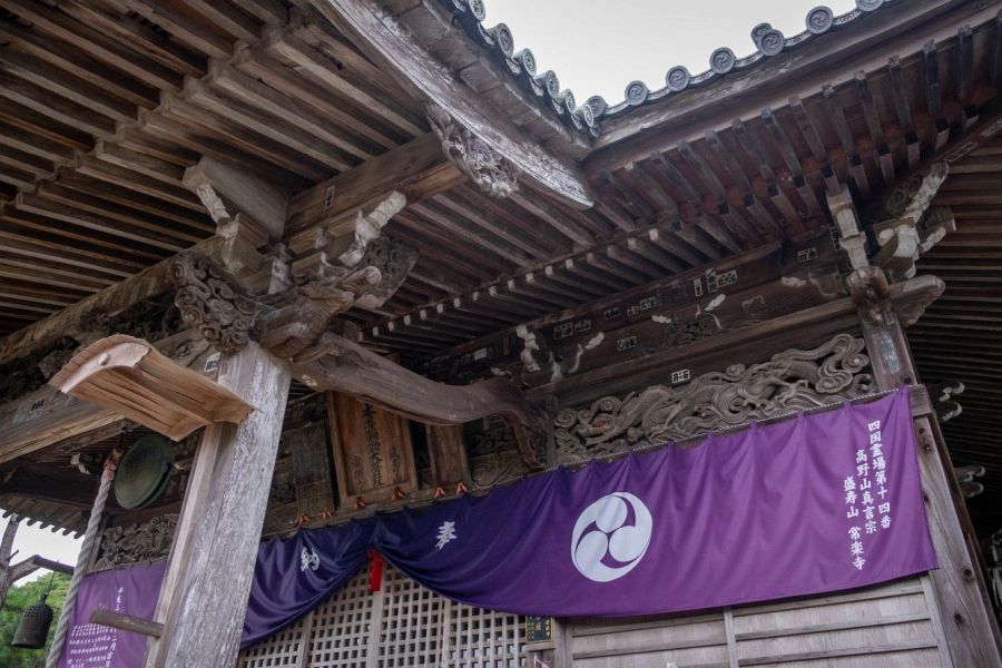 T14 Joraku ji Temple roof dragon