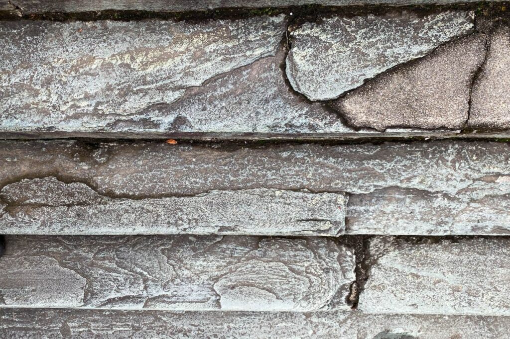 T17 Ido ji Temple steps