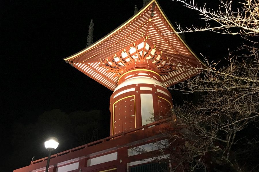 T23 Yakuo ji Temple pagoda at night