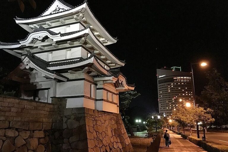 Takamatsu Castle at night