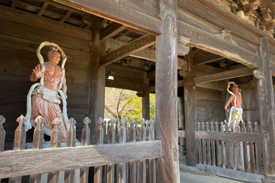 Temple 8 Kumadani ji Temple main gate guardians