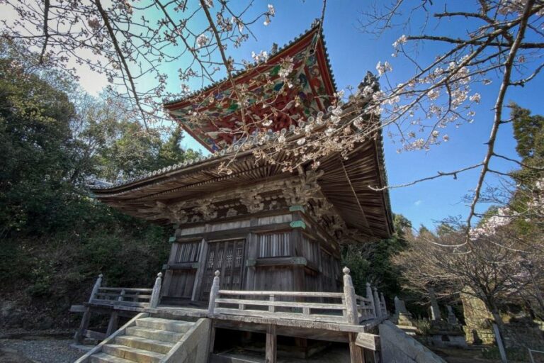 Temple 8 Kumadani ji Temple pagoda and cherry blossom