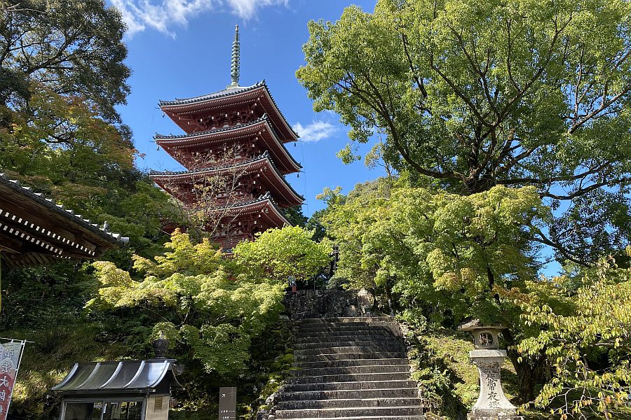Temple-No31-Chikurin-ji-pagoda