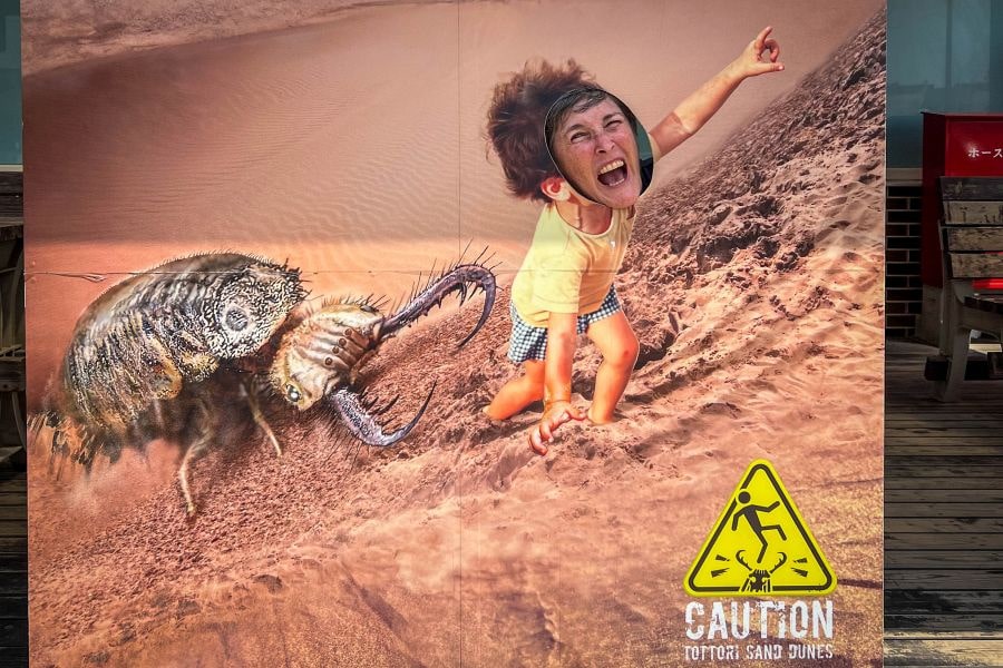 Tottori Sand Dunes monster insect