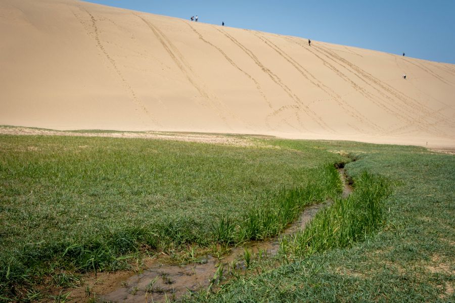 Tottori Sand Dunes summer stream