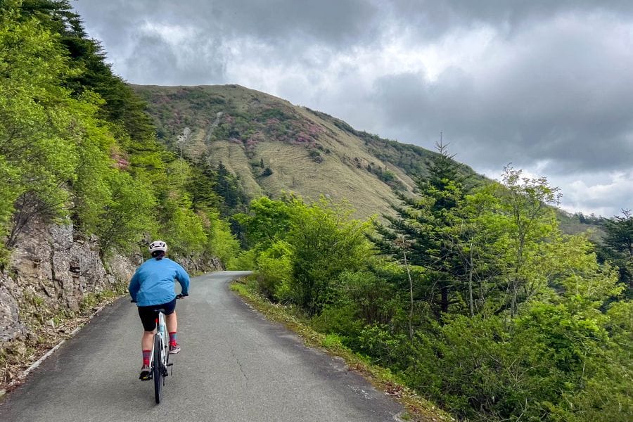 UFO Line cycling downhill